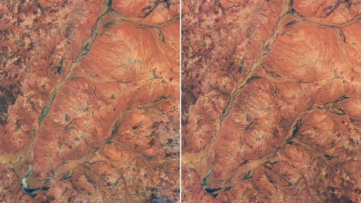 NASA-bilder viser uvanlig blomsterprakt i Australias tørre utkant