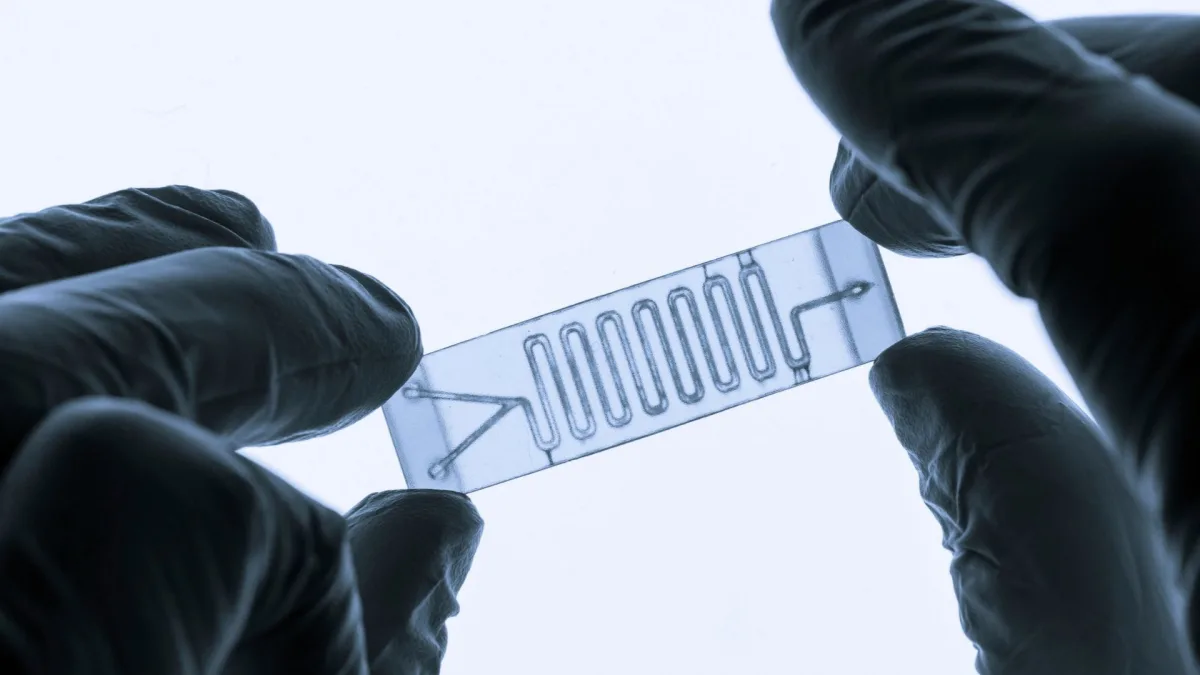 Mikrofluidisk brikke lar vannstrømmer «huske» tidligere bevegelser