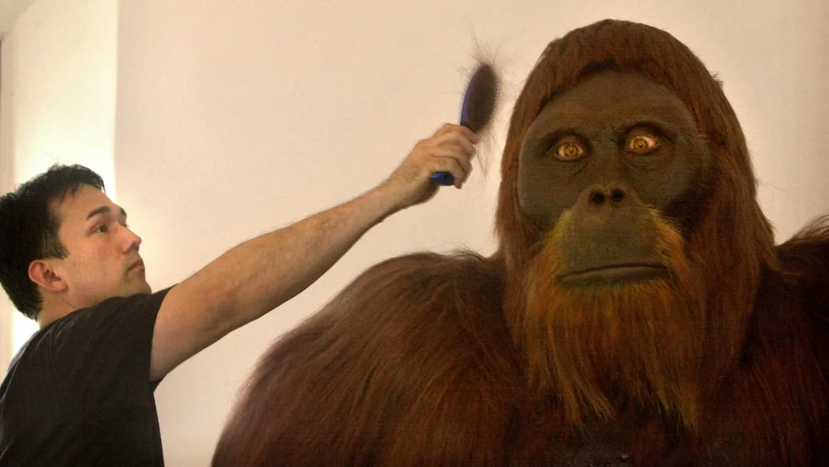 Hva ville skjedd hvis Homo erectus møtte en tre meter høy kjempeape?