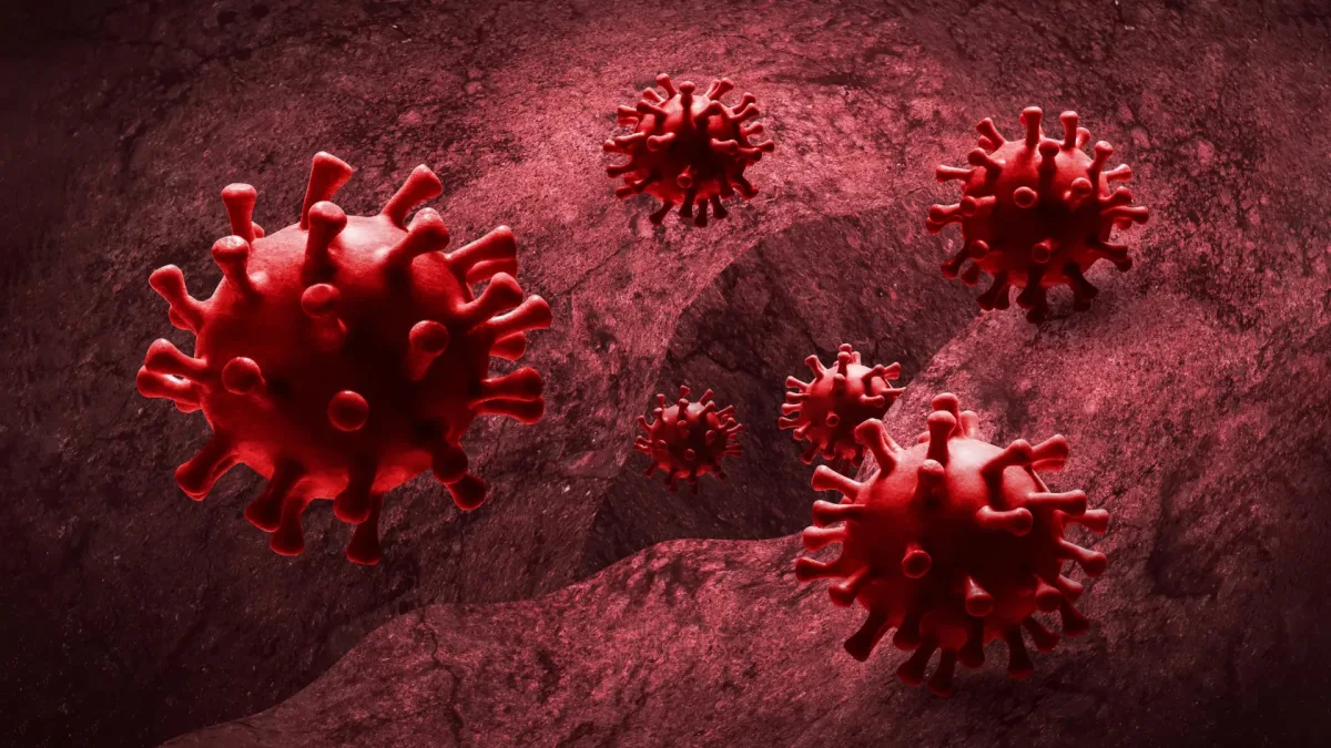 NTNU-forskere: Vanlige betennelsesdempende medisiner kan hjelpe virus å spre seg