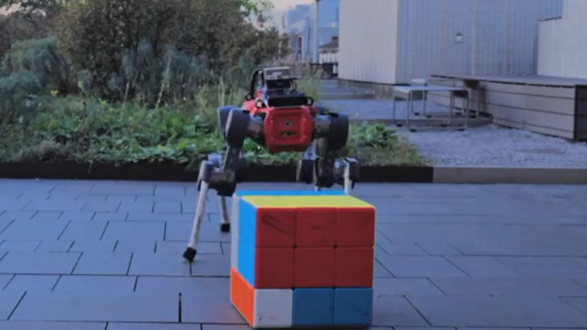 Firerbeint robot løser gigantisk Rubiks kube med beina