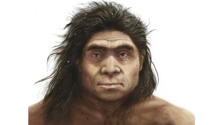 Ny analyse gir Denisovan-mannen et særpreget ansikt