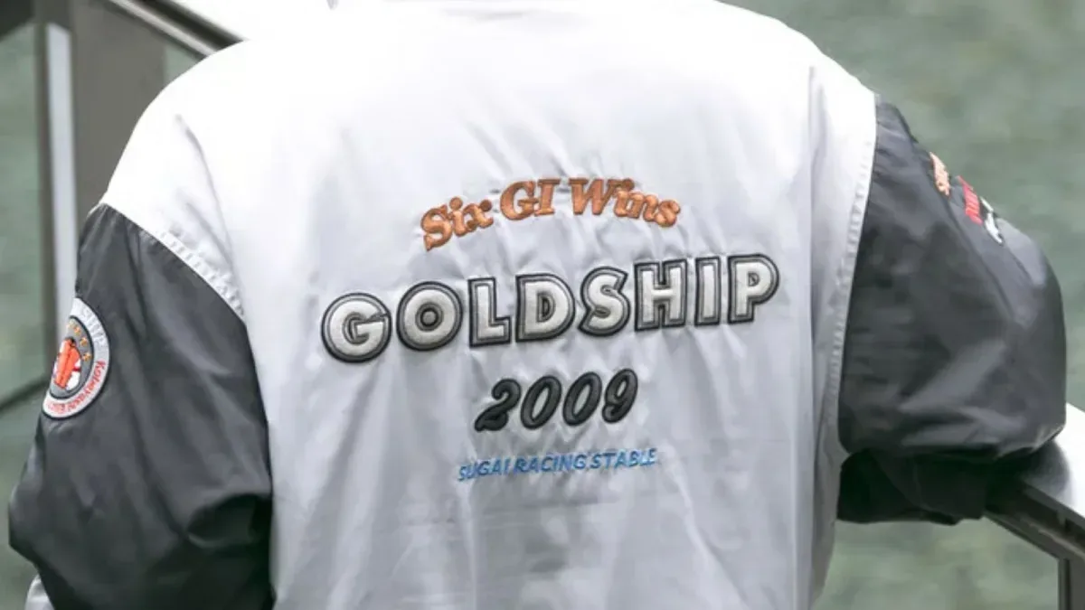 Gold Ship hedres med jakke til 250 dollar